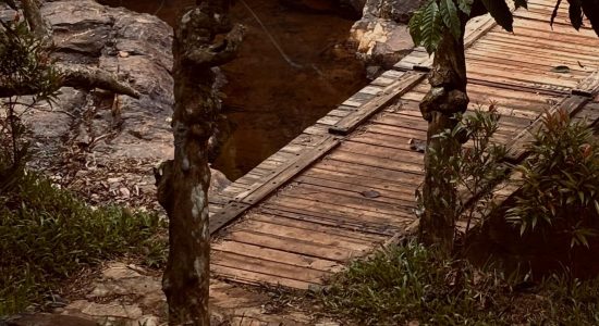 WhatsApp Image 2025-06-19 at 2.17.38 PM (3)